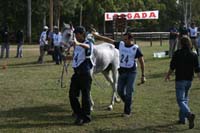 international/Uruguay/2009PanAm/gallery/apr25_Camp/thumbnails/IMG_4274.jpg