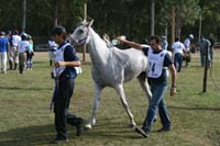 international/Uruguay/2009PanAm/gallery/apr25_Camp/thumbnails/IMG_4275.jpg