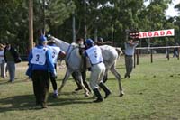 international/Uruguay/2009PanAm/gallery/apr25_Camp/thumbnails/IMG_4306.jpg