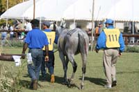 international/Uruguay/2009PanAm/gallery/apr25_Camp/thumbnails/IMG_4375.jpg