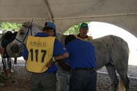 international/Uruguay/2009PanAm/gallery/apr25_Camp/thumbnails/IMG_4423.jpg