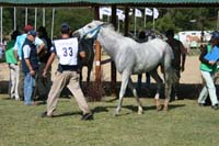 international/Uruguay/2009PanAm/gallery/apr25_Camp2/thumbnails/IMG_4468.jpg