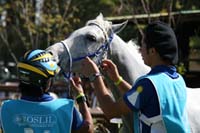 international/Uruguay/2009PanAm/gallery/apr25_Camp2/thumbnails/IMG_4502.jpg