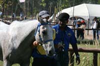 international/Uruguay/2009PanAm/gallery/apr25_Camp2/thumbnails/IMG_4535.jpg