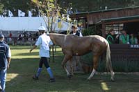 IMG_4879