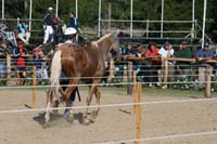IMG_4887