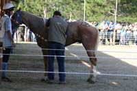 IMG_4905