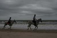 international/Uruguay/2009PanAm/gallery/apr25_Road/thumbnails/IMG_4118.jpg