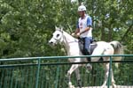 IMG_8257
