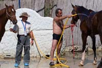 IMG_9258