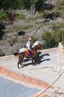 IMG_6659