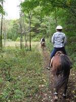 IMG_0522