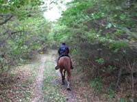 IMG_0940