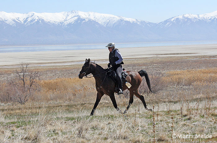 Riding that darksome pony