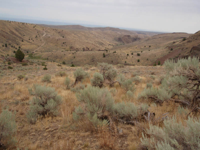 P8220236