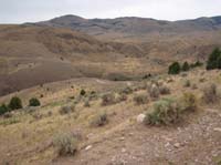 P8220274