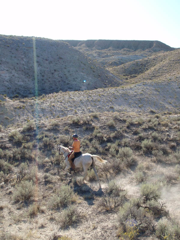P8250401