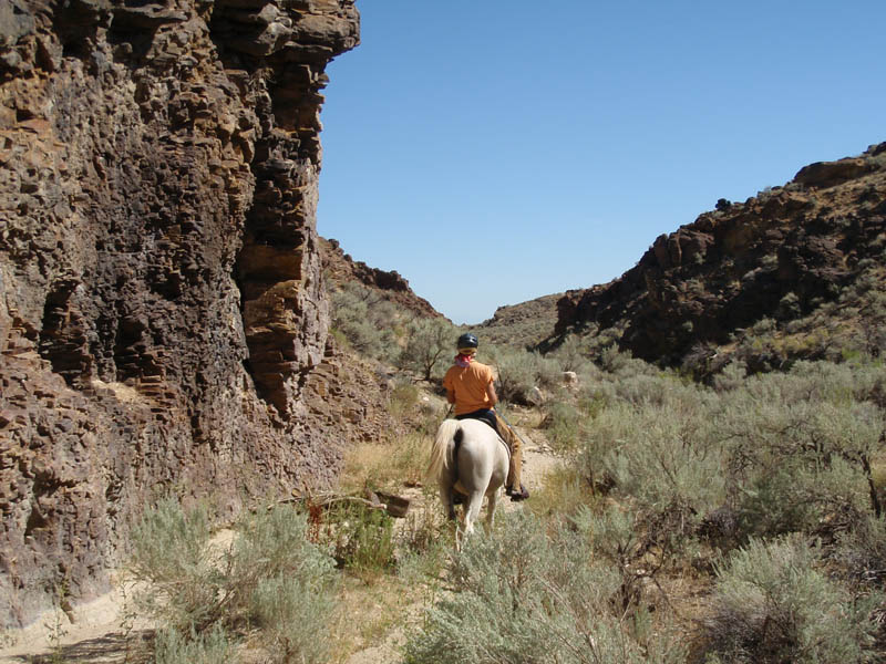 P8250458