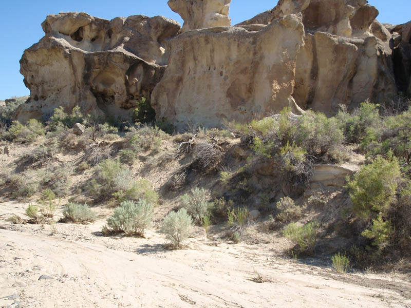 P8250469