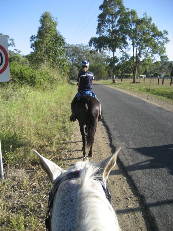 TE281
