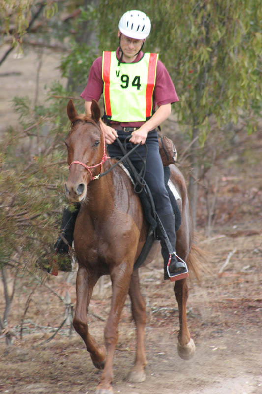 NWC090