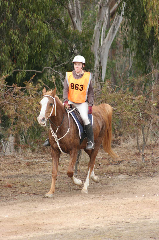 NWC109
