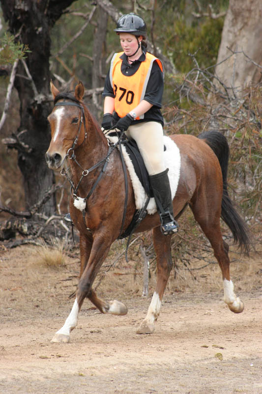 NWC110