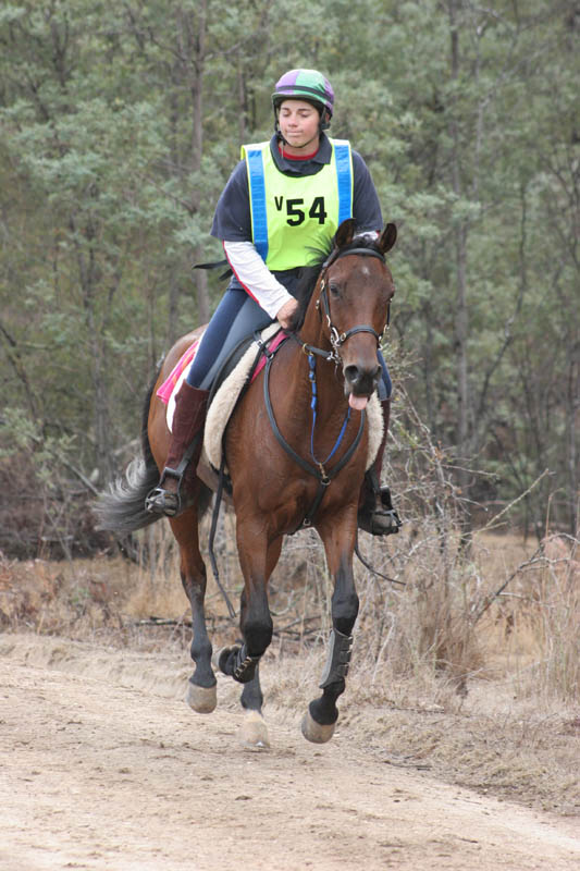 NWC121