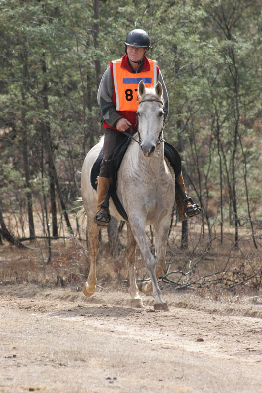 NWC123