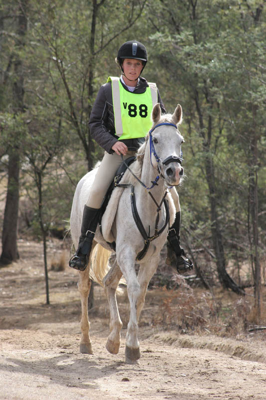 NWC124