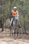 NWC127