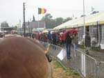 LFair018