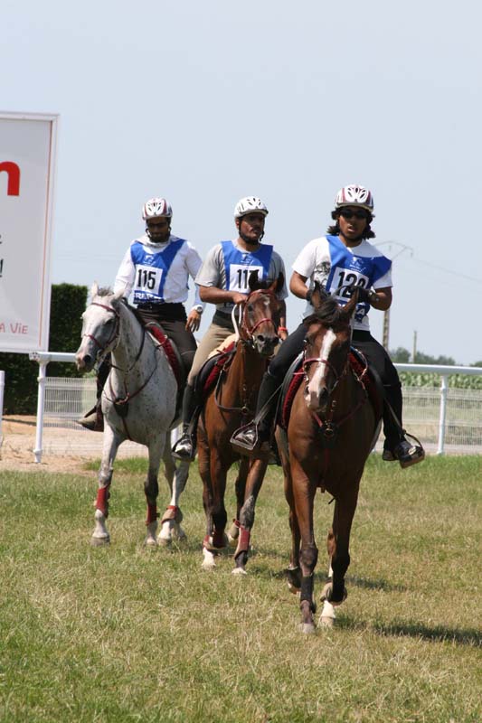 SGIC250