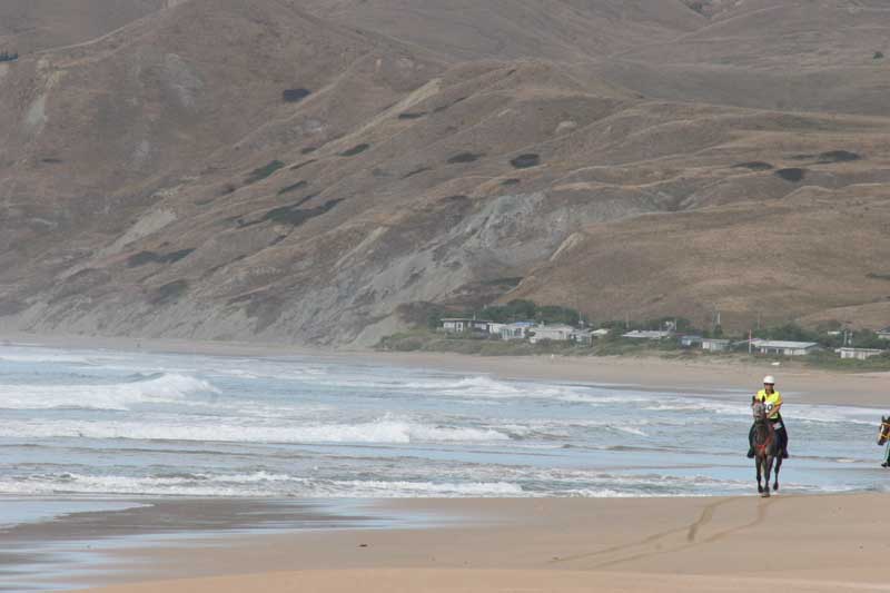 HOYAM055