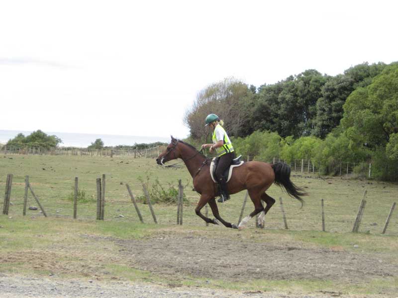 HOYPM035