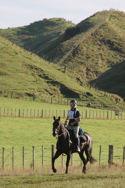NZNI435