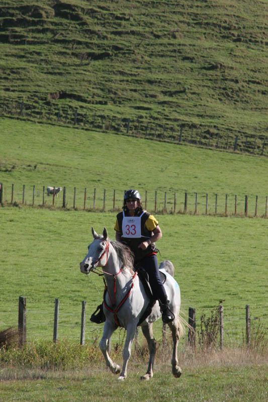 NZNI438