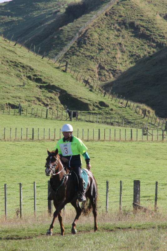 NZNI439