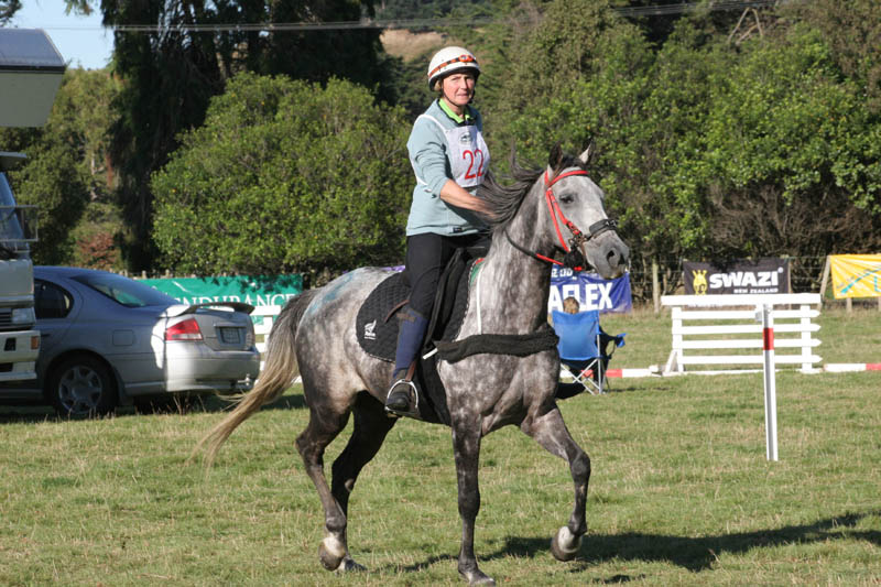 NZNI441