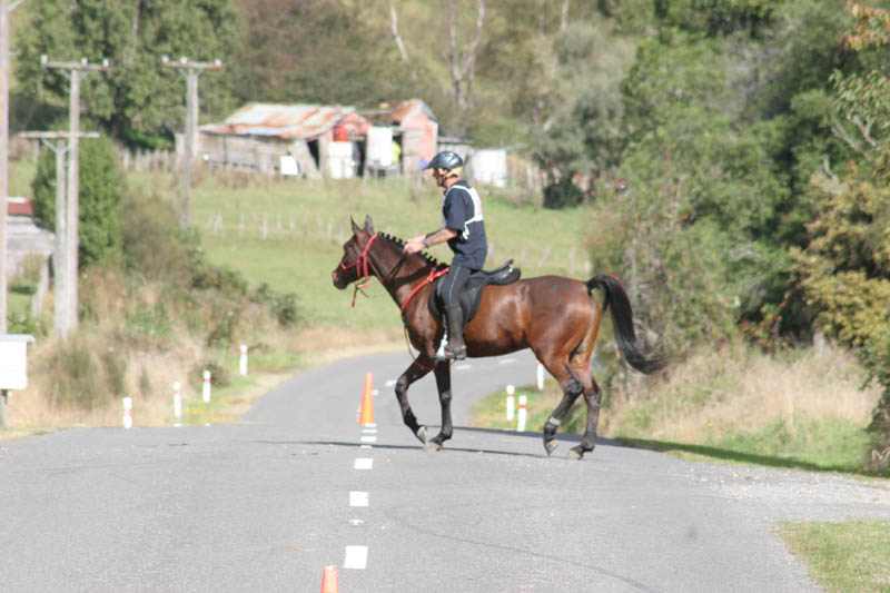 NZNI484