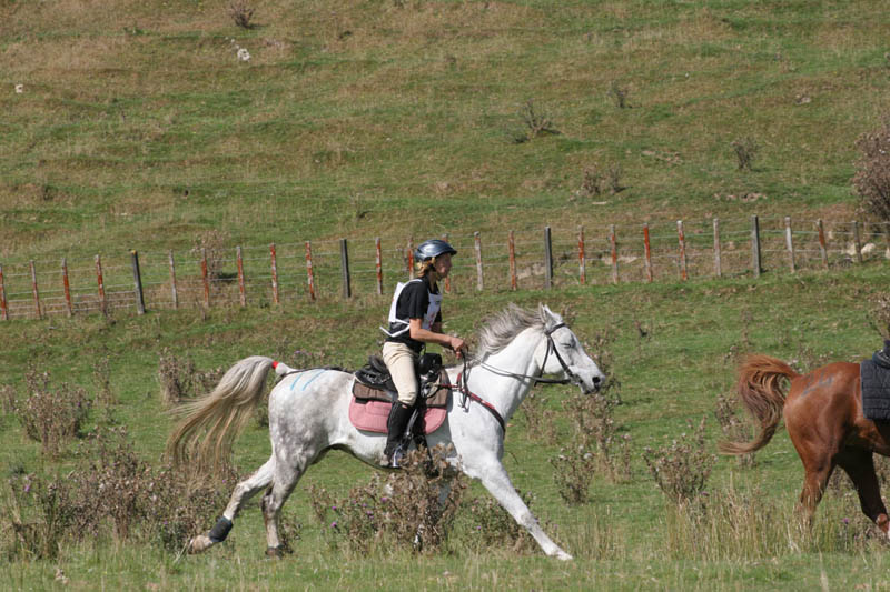 NZNI489