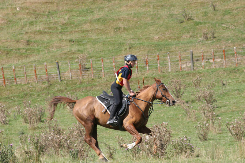 NZNI491
