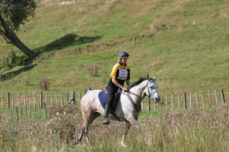 NZNI493