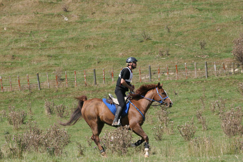 NZNI496