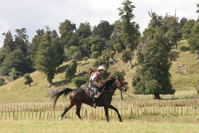 NZNI498