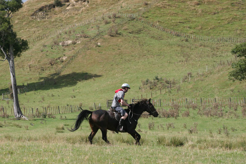 NZNI499