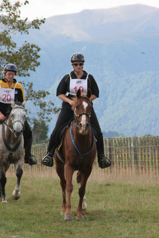 NZNI533