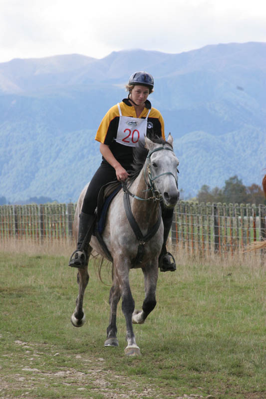 NZNI534