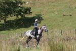 NZNI486