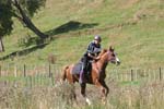 NZNI488